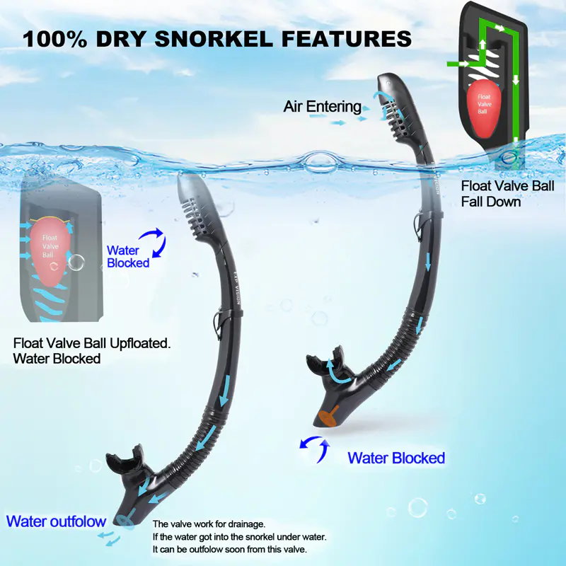 Adult Snorkel And Flipper Set